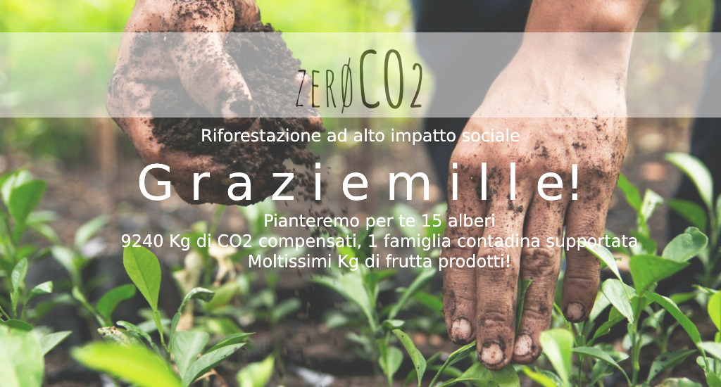 VenPrEd srl supporta Zero C02 - Riforestazione ad alto impatto sociale